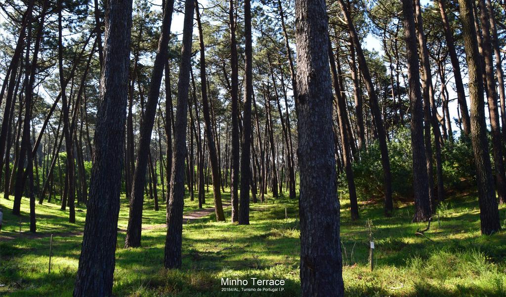 Minho Terrace Daire Caminha Dış mekan fotoğraf